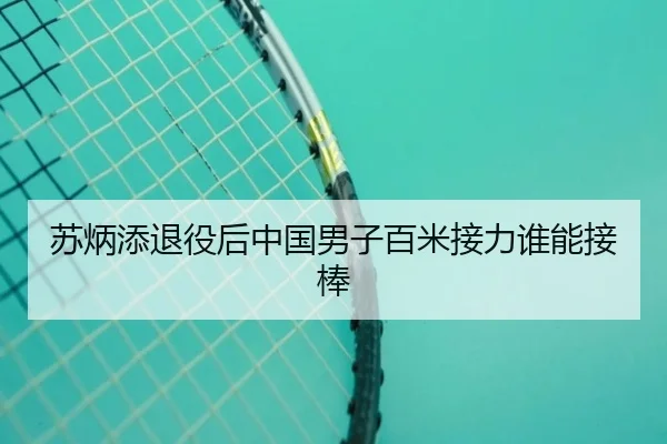 苏炳添退役后中国男子百米接力谁能接棒